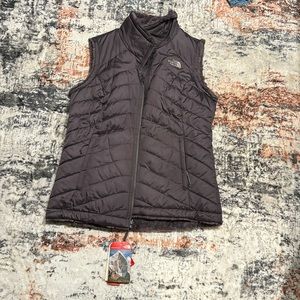 The north face vest. Reversible.